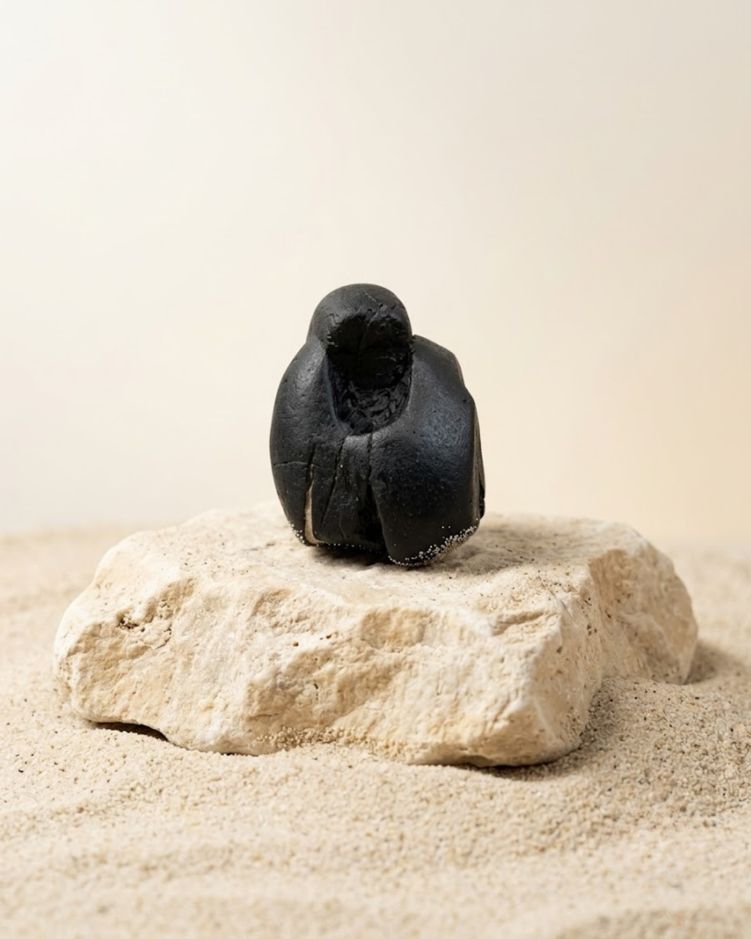 Laxmi Narayan Shaligram Shila - Original Sacred Stone - ManiMonk