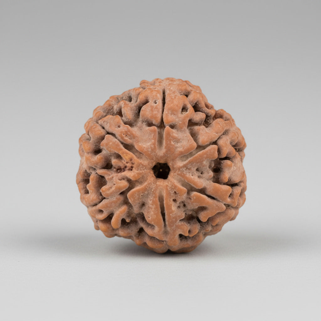6 Mukhi Nepal