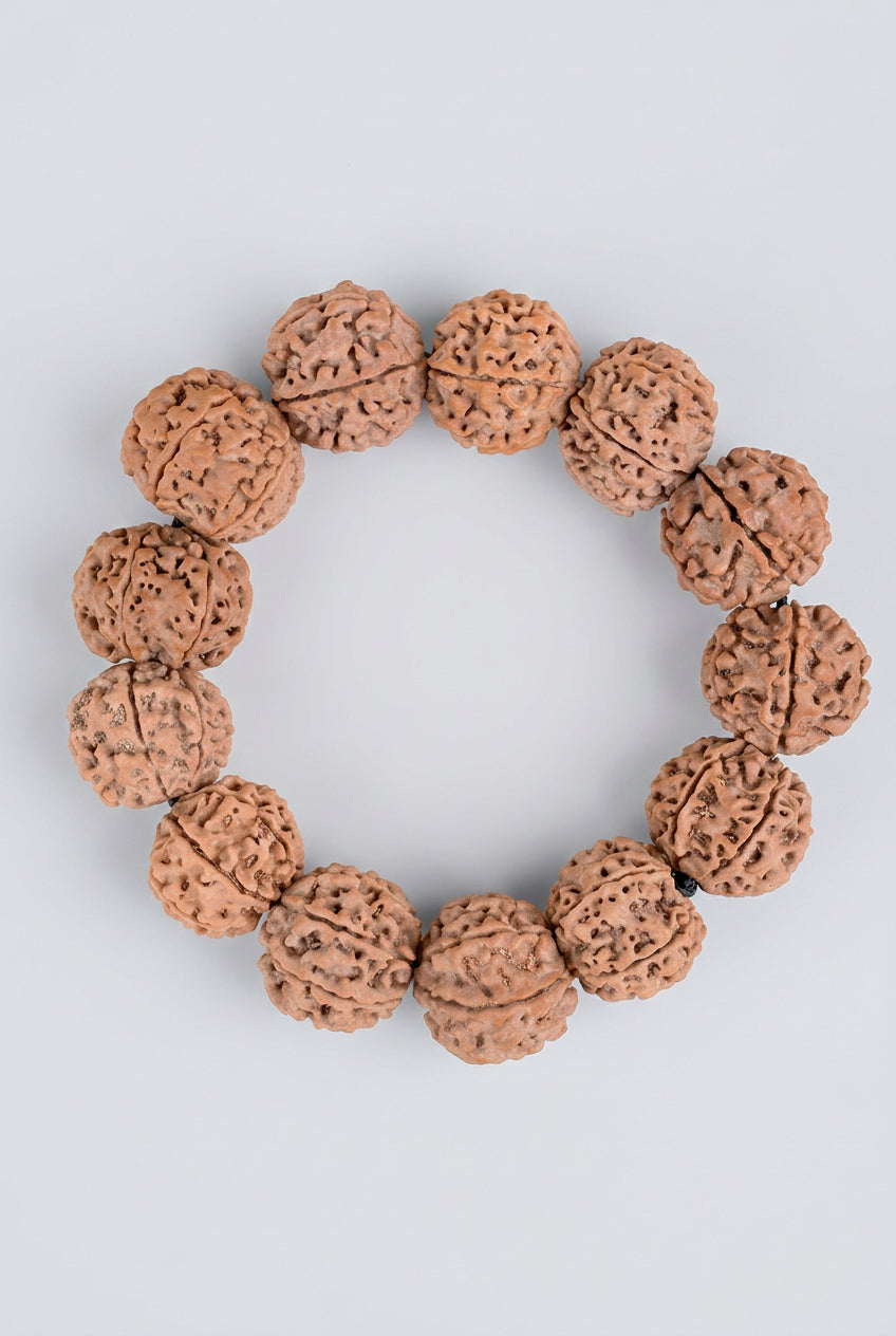6 Mukhi Nepali Rudraksha Bracelet-Regular - ManiMonk