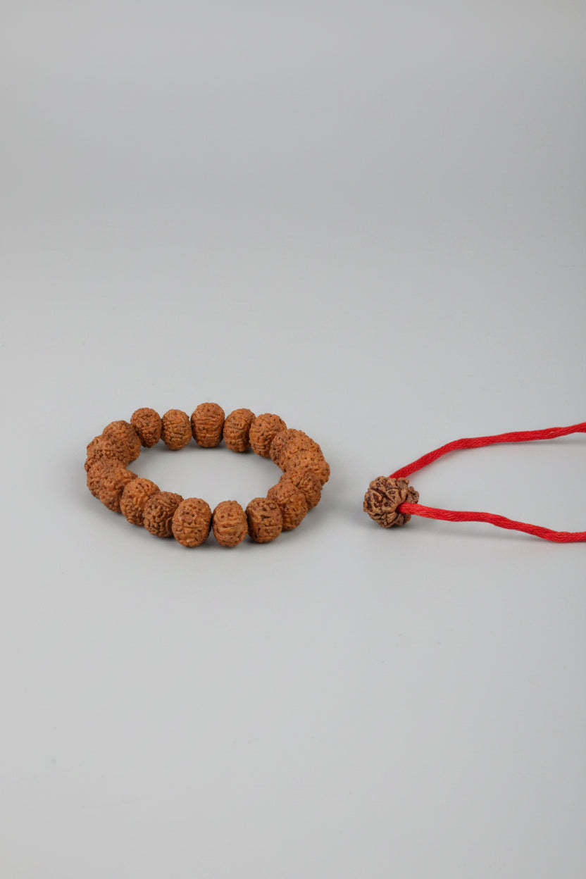 7 Mukhi Rudraksha Combo | Bracelet, Mala & Loose Bead Set