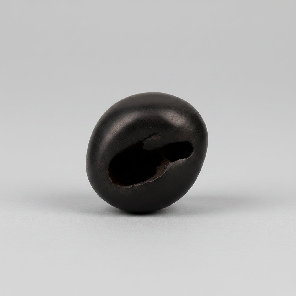 Laxmi Narsimha Shaligram Shila - 87 gms