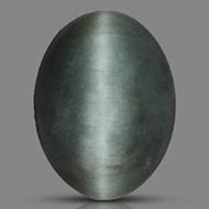 Cats Eye - Orissa - Bihar - 14.30 Carats