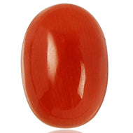 Red Italian Coral - 5 to 6 Carats