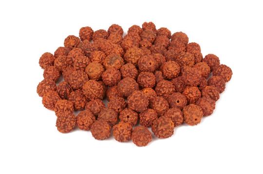Rudraksha loose Beads pack 13 mm