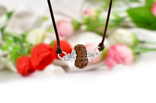  https://dont2qcigdrmt.cloudfront.net/ProductImages/Other_Products/fortune-pendant-in-silver-with-thread-js.jpg