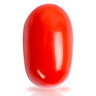 Red Italian Coral - 11.25 Carats