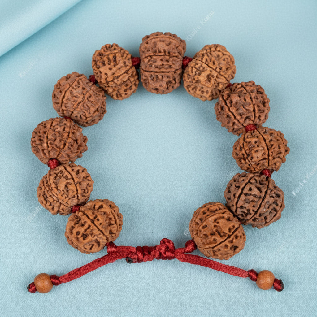 9 Mukhi Nepali Rudraksha Adjustable Bracelet