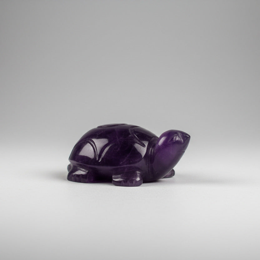 Amethyst Turtle (Kurma)