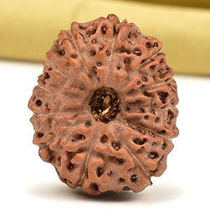 Collector 12 Mukhi from Java