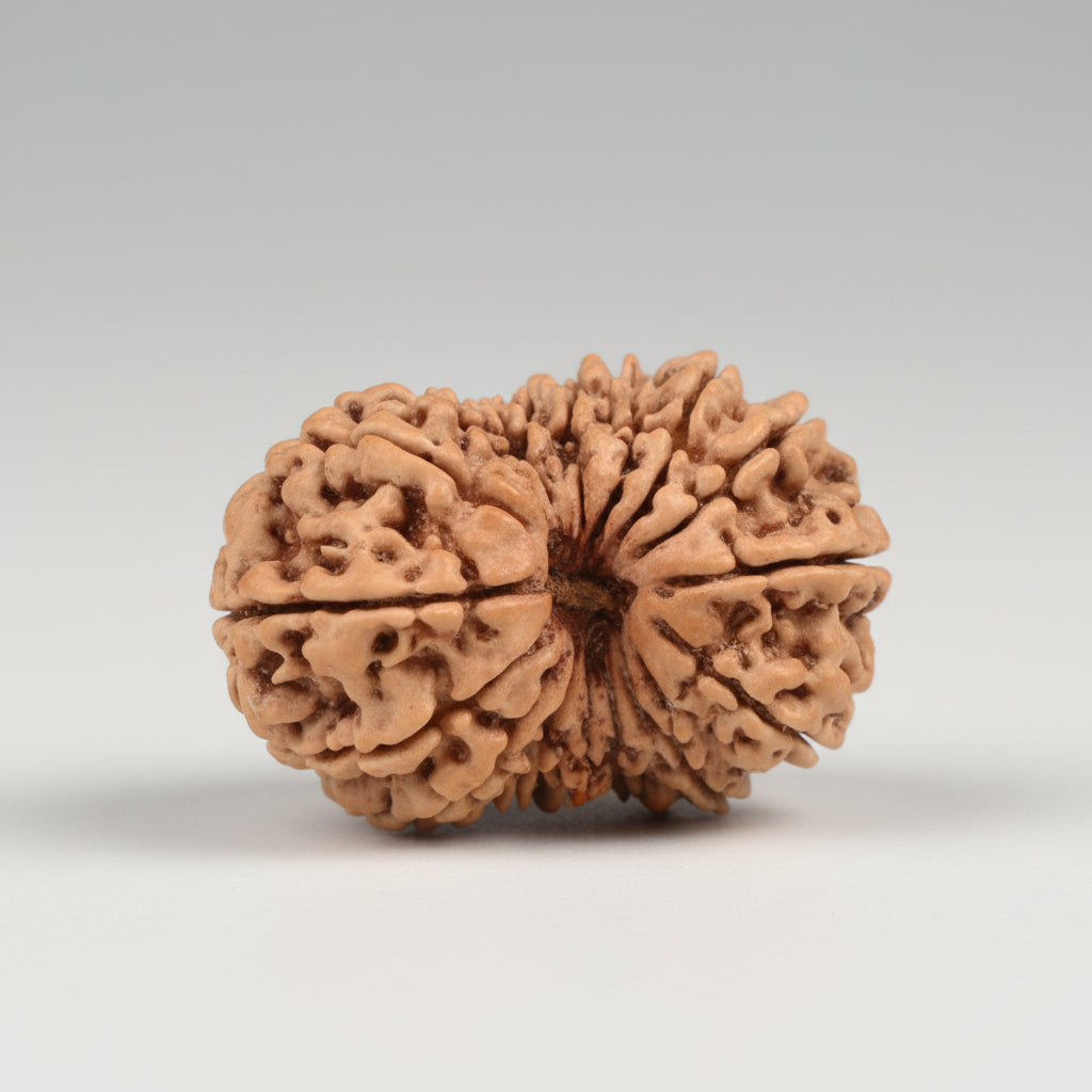Collector Eighteen Mukhi V