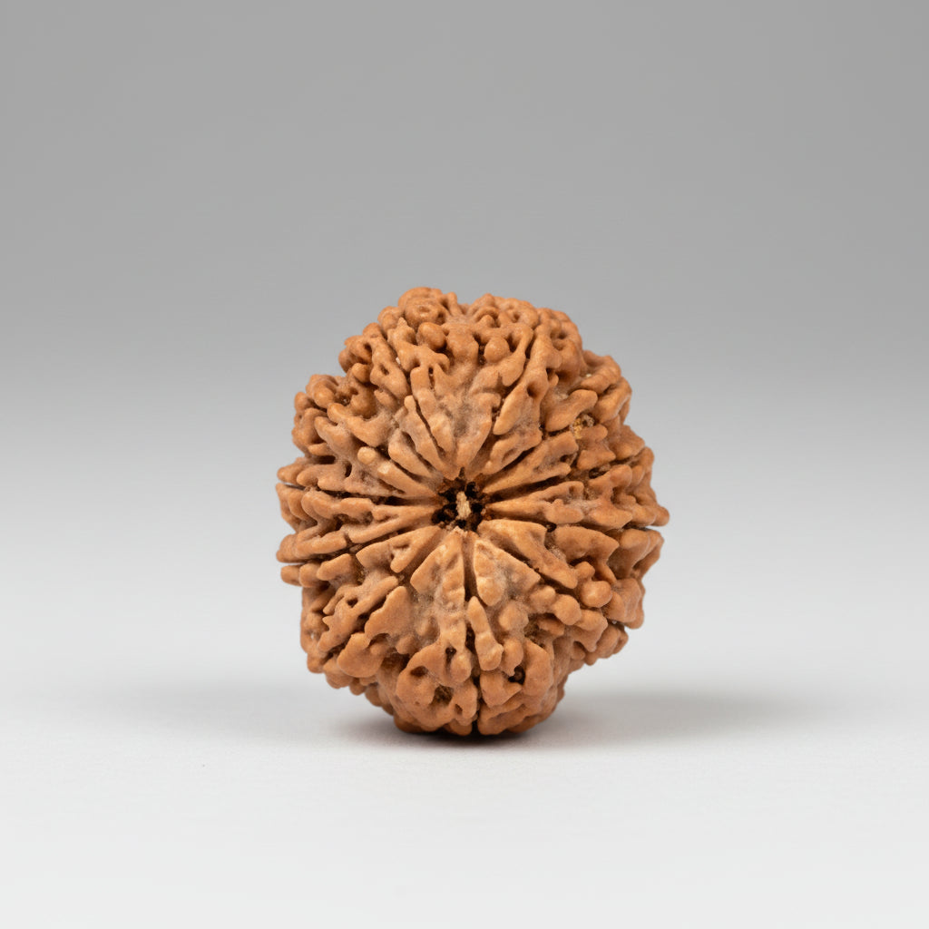 Collector Eleven Mukhi from Nepal CIII
