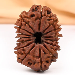 Collector Fifteen Mukhi CXII