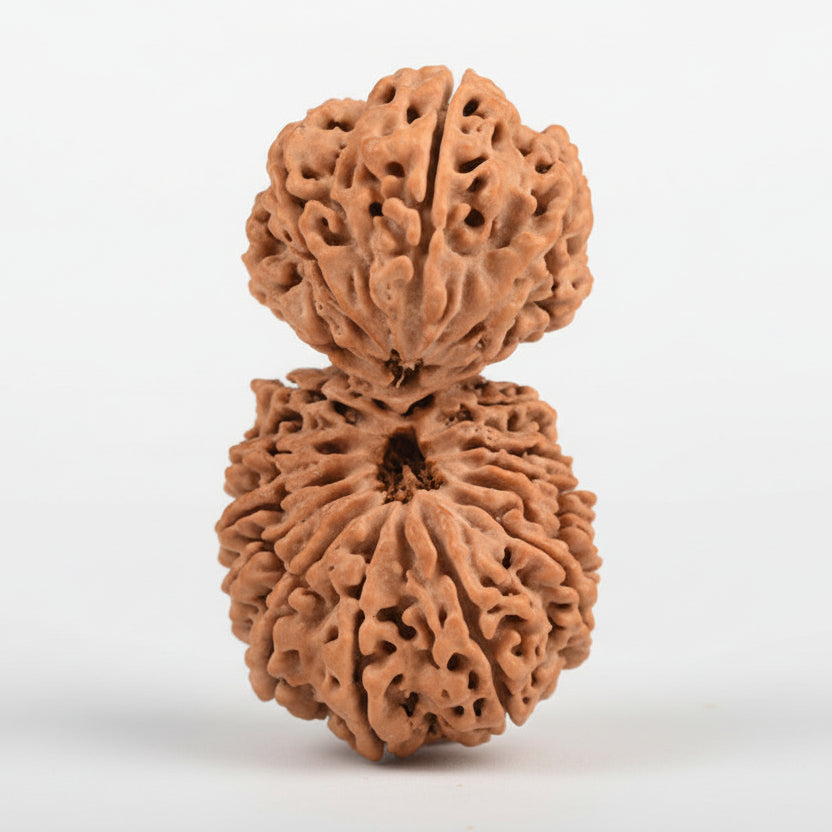 Collector Gauri Shankar 17 Mukhi from Nepal