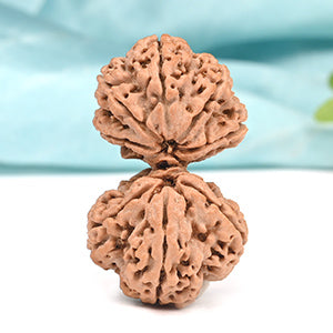 Collector Gauri Shankar 8 Mukhi from Nepal