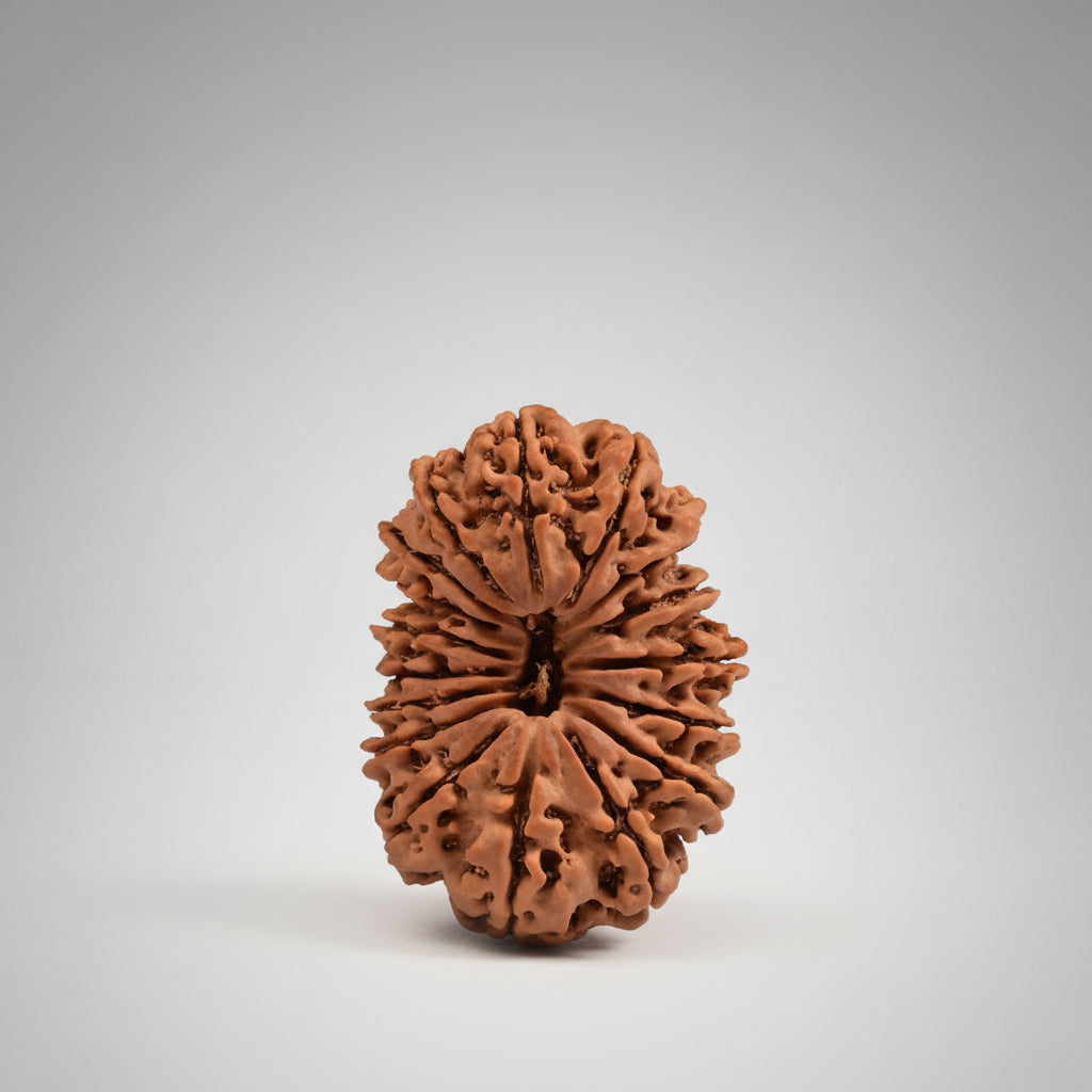 Collector Seventeen Mukhi from Nepal LXI