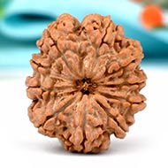 Collector Ten Mukhi from Nepal XXXI
