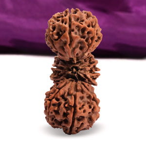 Collector Trijuti XVII