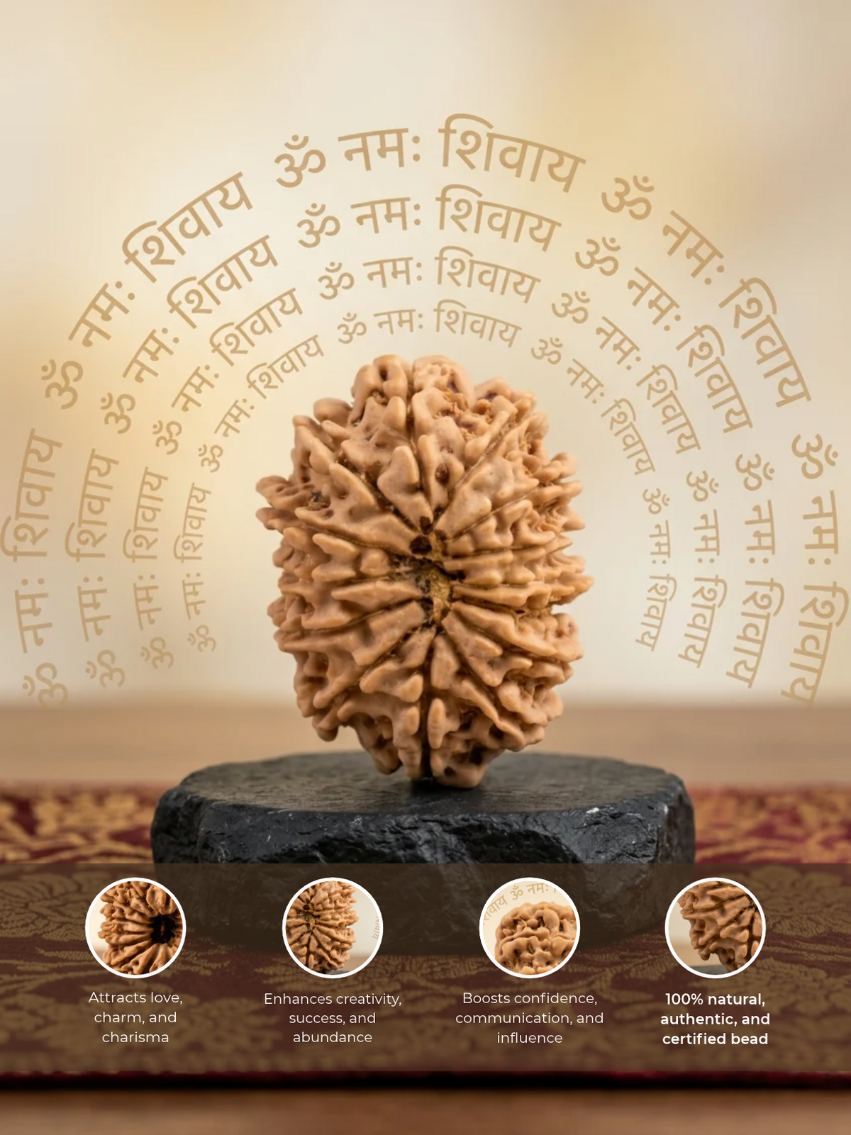 14 Mukhi Nepali Rudraksha Regular 18 to 20 mm