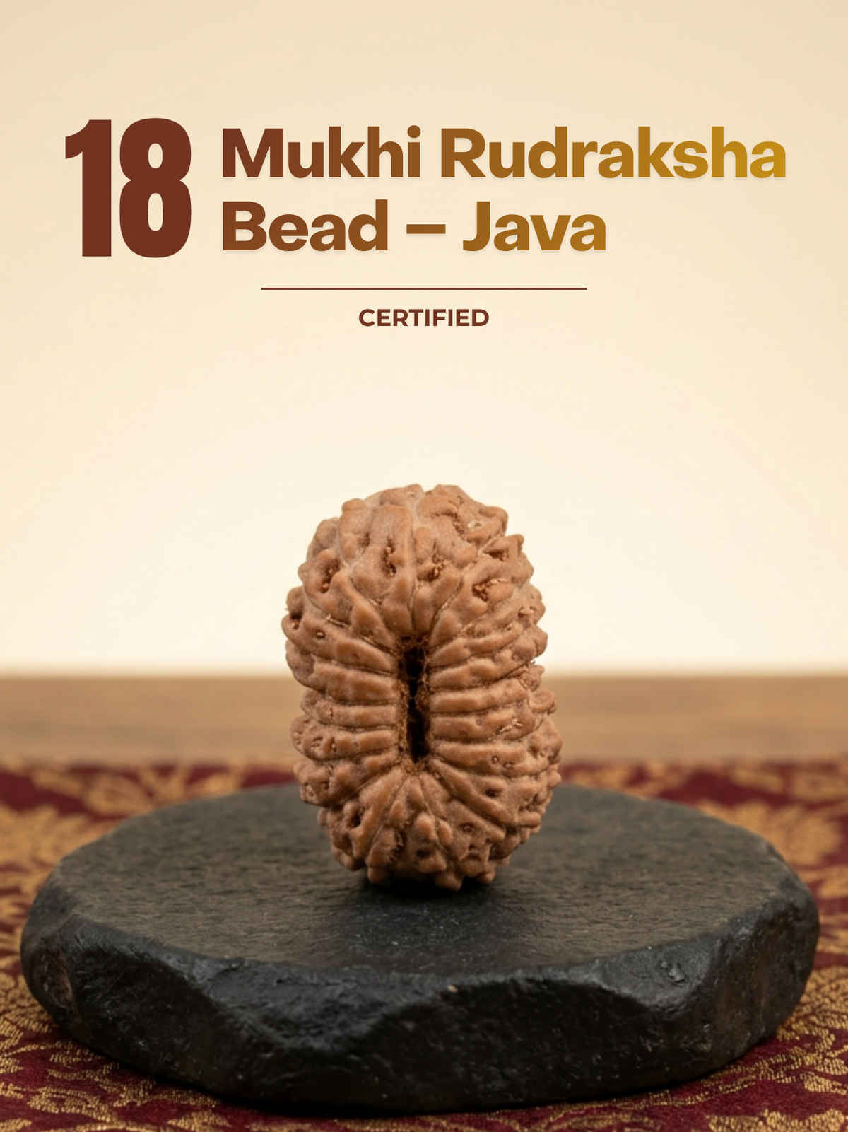 18 Mukhi Rudraksha Bead – Java Indonesian | 14mm | ManiMonk