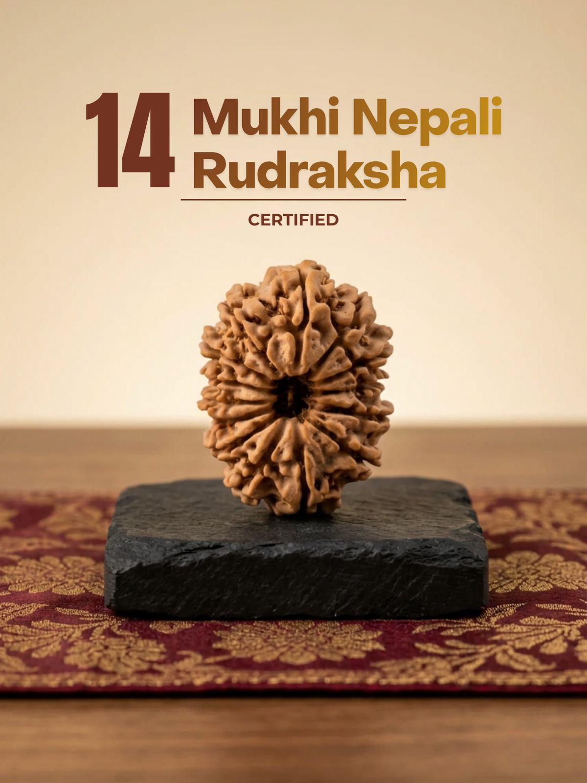 14 Mukhi Nepali Rudraksha Regular 18 to 20 mm