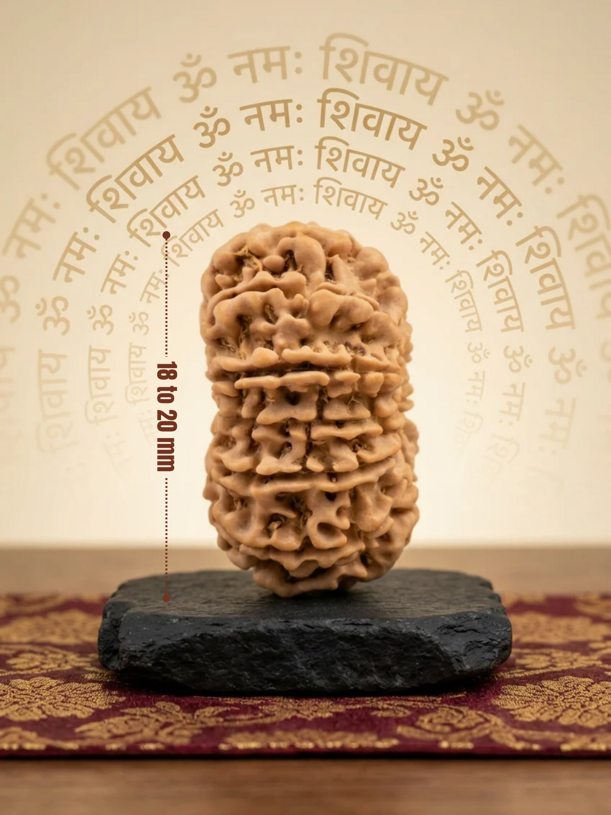 14 Mukhi Nepali Rudraksha Regular 18 to 20 mm