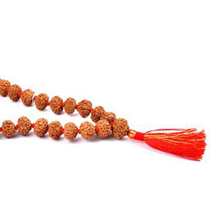 Rare 7 Mukhi Mahalaxmi Mala Button Shape (12 mm)-108+1 Beads