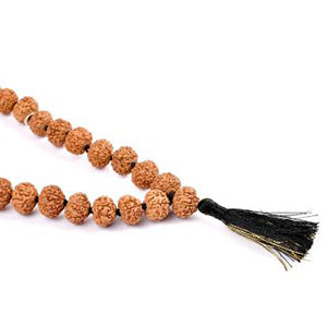 Rare 7 Mukhi Mahalaxmi Mala Button Shape (13 mm)-72+1 Beads