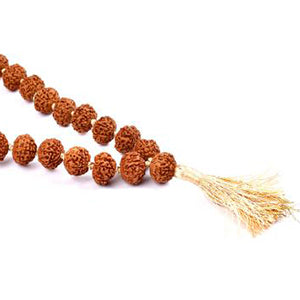 Rare 7 Mukhi Mahalaxmi Mala Button Shape (14 mm)-72+1 Beads