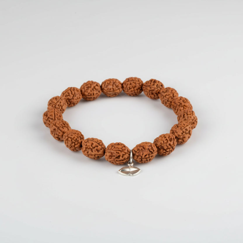 4 Mukhi Brahma Bracelet From Java-12 mm