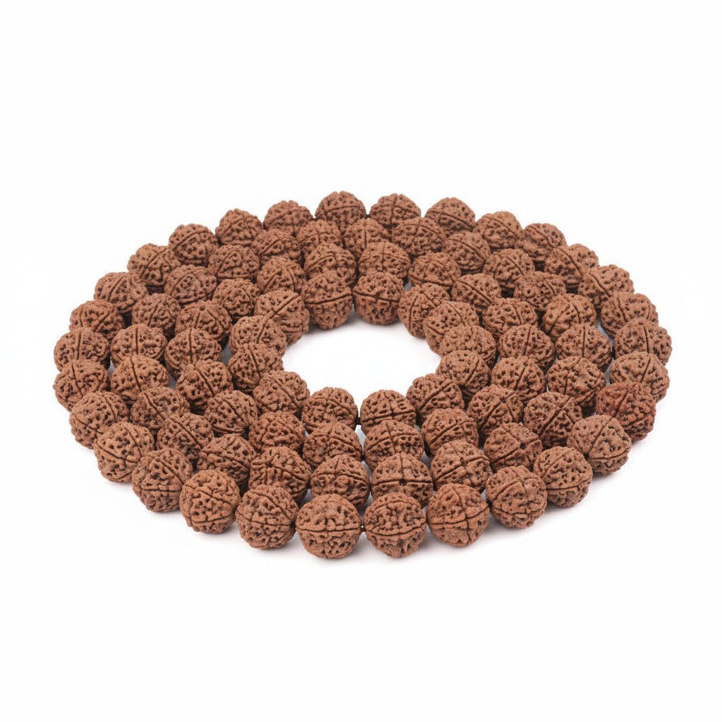 Five Mukhi from Nepal Small