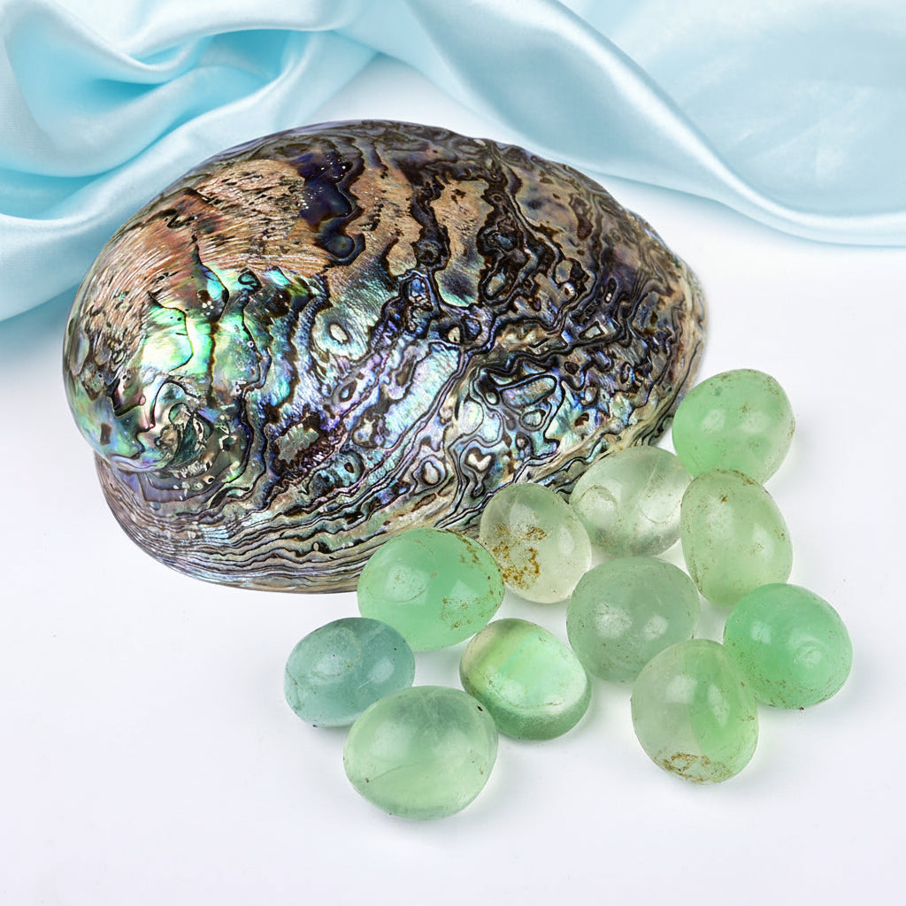 8 Directions Tumble Stone in Paua Shell-With Plate-Green Jade (North West)