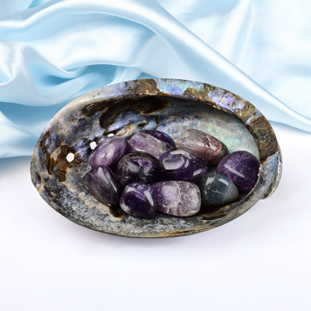 8 Directions Tumble Stone in Paua Shell-With Plate-Amethyst (North East)