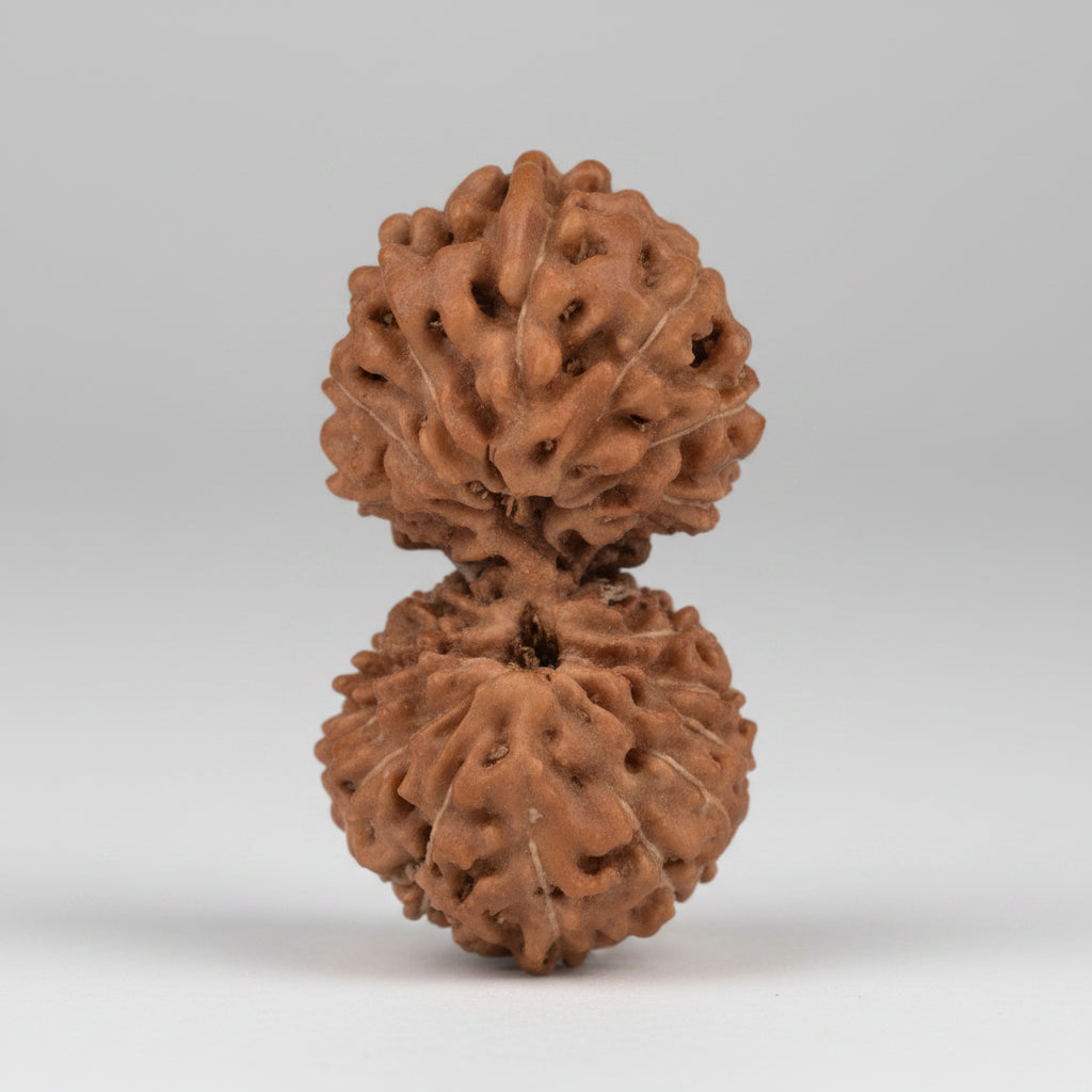 Gauri Shankar 20 Mukhi from Java IV