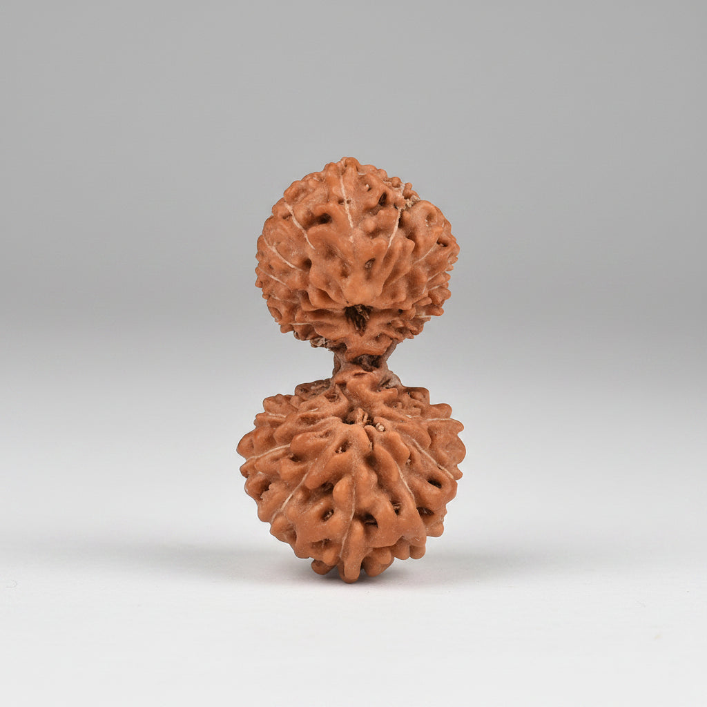 Gauri Shankar 20 Mukhi from Java IV