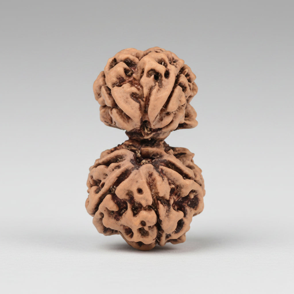 Gauri Shankar 6 Mukhi from Nepal