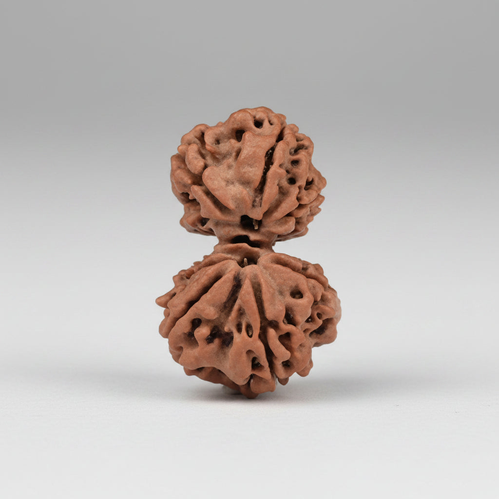 Gauri Shankar 6 Mukhi from Nepal Small