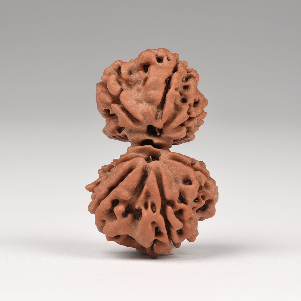 Gauri Shankar 6 Mukhi from Nepal Small