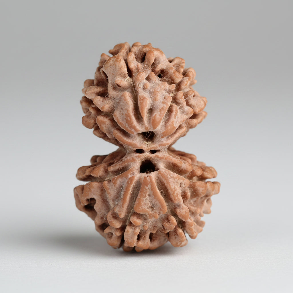 Brown textured object on a gray background