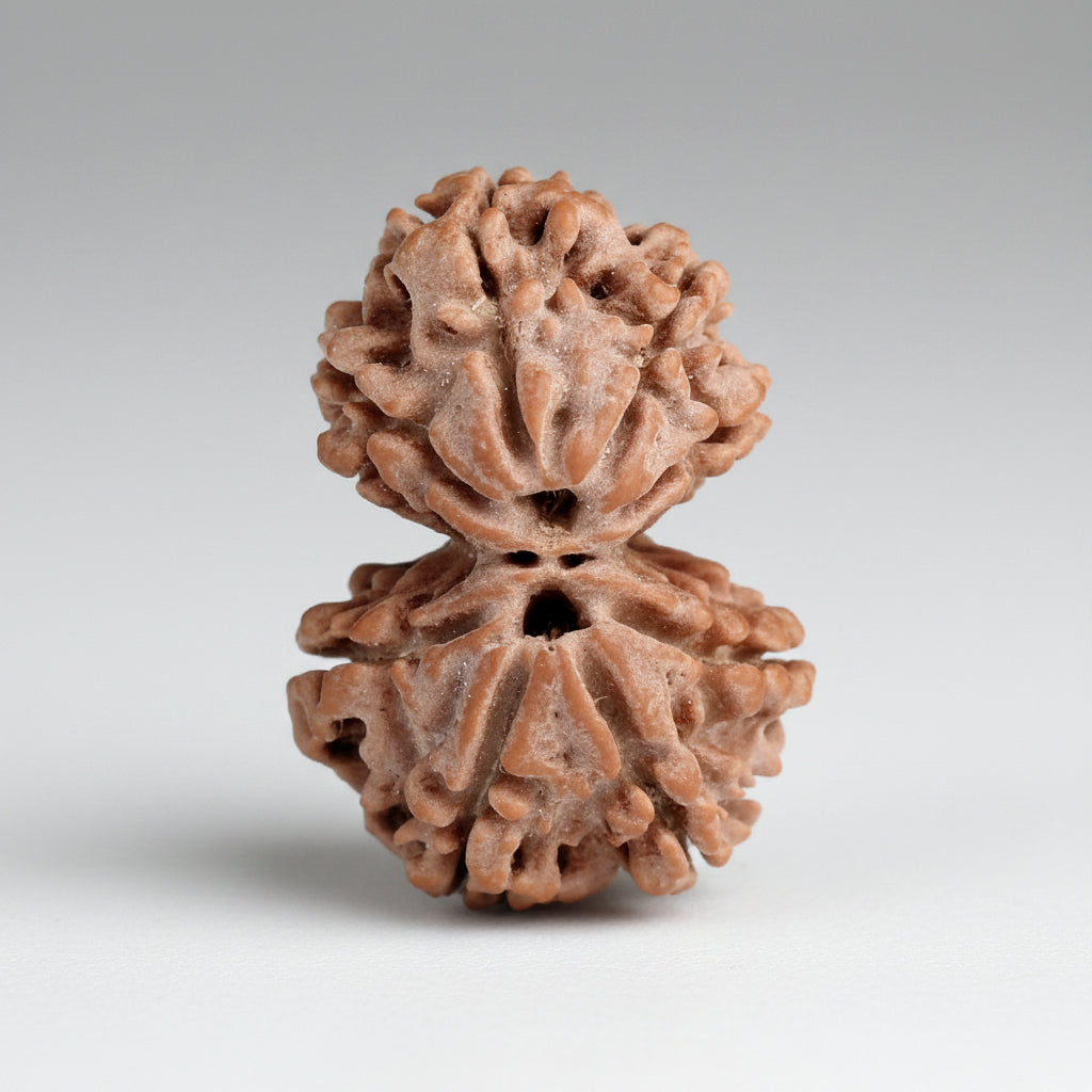 Gauri Shankar 8 Mukhi from Nepal Small