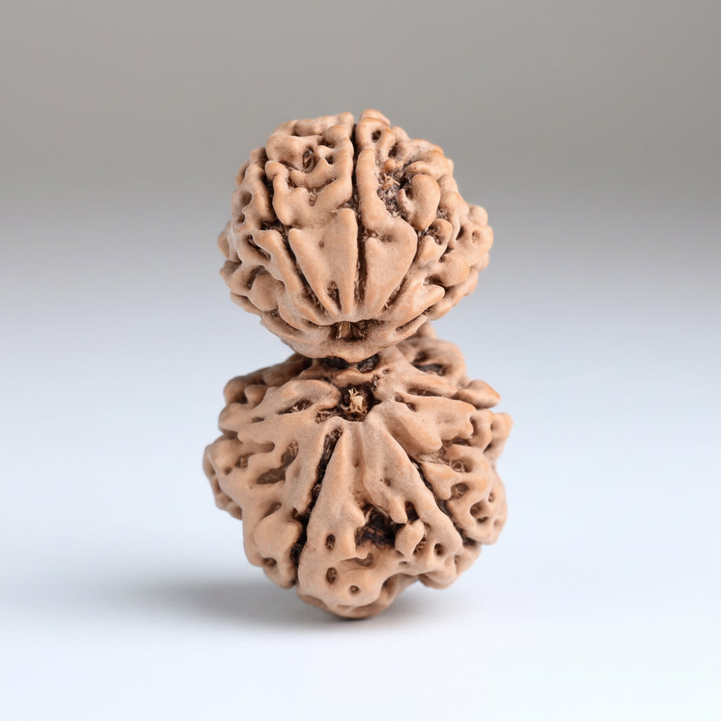 Gauri Shankar 9 Mukhi from Nepal