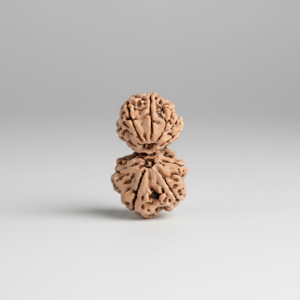 Gauri Shankar 9 Mukhi from Nepal