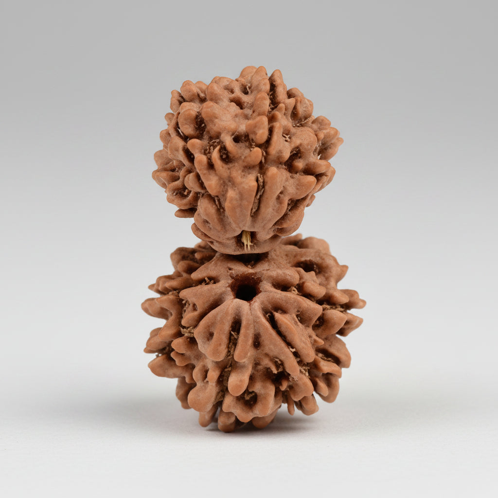 Gauri Shankar 9 Mukhi from Nepal Small