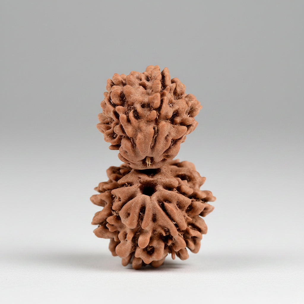 Gauri Shankar 9 Mukhi from Nepal Small