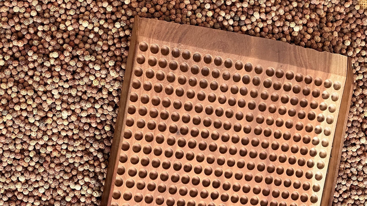 Authentic Nepal Rudraksha  & Java  Rudraksha Beads