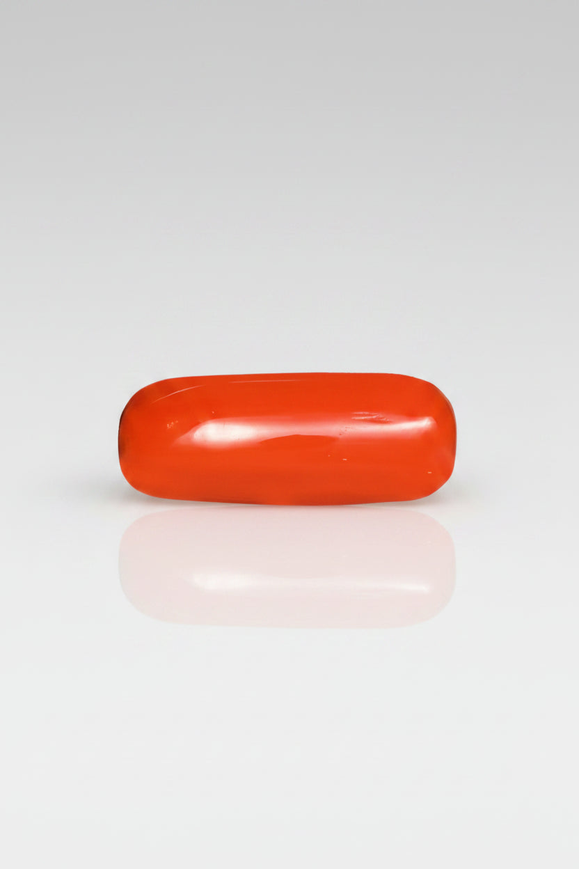 Italian Red Coral (Moonga) – 4 Carat
