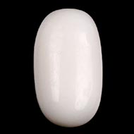 White Coral - 3.55 Carats