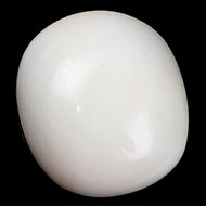 White Coral - 7.80 Carats