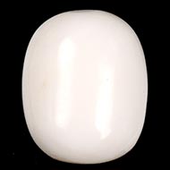 White Coral - 8.95 Carats