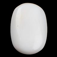 White Coral - 9.90 Carats