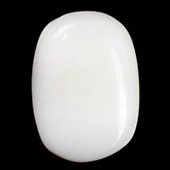 White Coral - 11 Carats